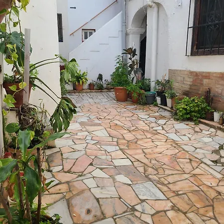 Livingtarifa Amapola *