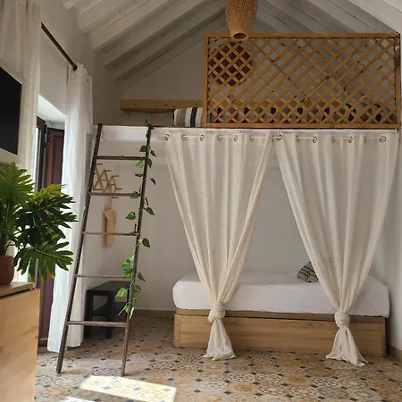 Livingtarifa Amapola *
